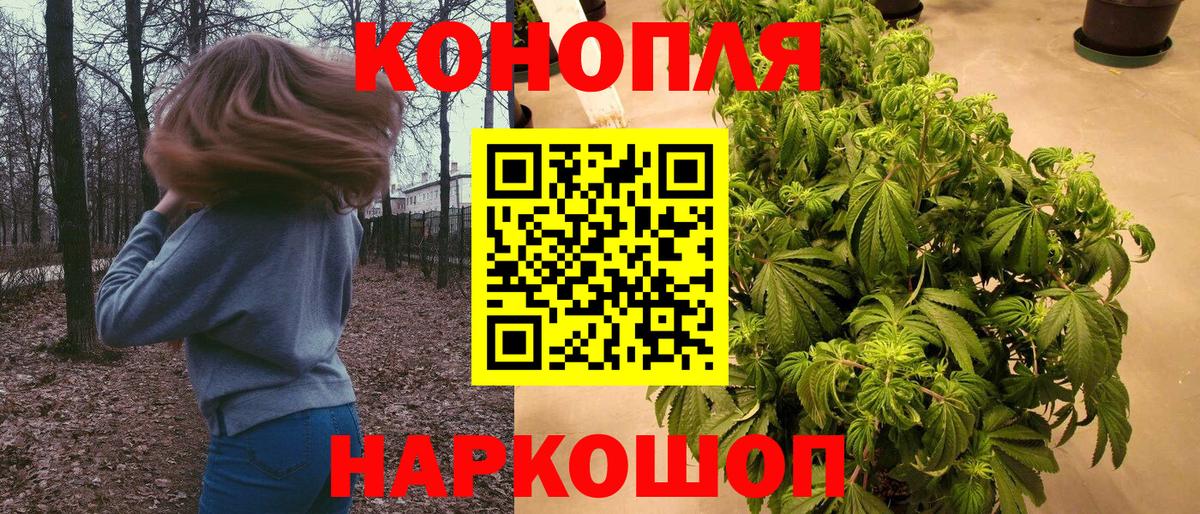 Конопля сатива Лабинск